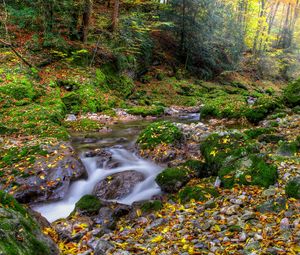 Preview wallpaper autumn, forest, river, rocks, landscape