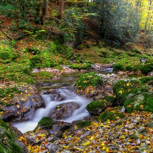 Preview wallpaper autumn, forest, river, rocks, landscape