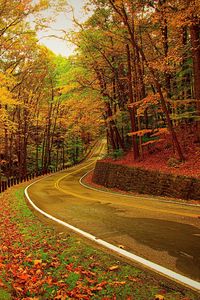 Preview wallpaper autumn, forest, road, turn