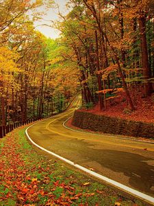 Preview wallpaper autumn, forest, road, turn
