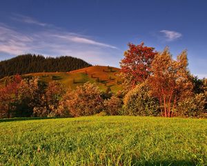 Preview wallpaper autumn, grass, trees, field, sky