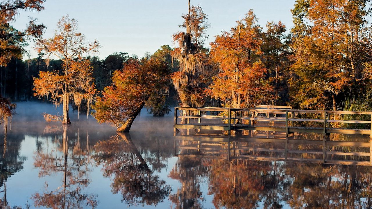 Wallpaper autumn, lake, bridge, trees, under water