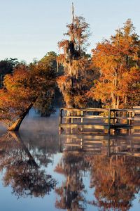 Preview wallpaper autumn, lake, bridge, trees, under water