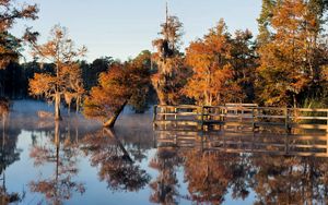 Preview wallpaper autumn, lake, bridge, trees, under water