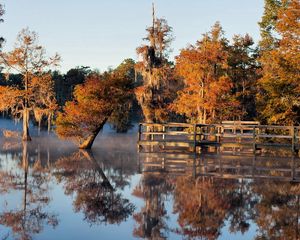 Preview wallpaper autumn, lake, bridge, trees, under water