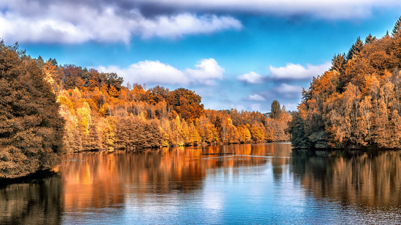 Wallpaper autumn, lake, trees, reflection