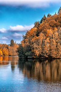 Preview wallpaper autumn, lake, trees, reflection