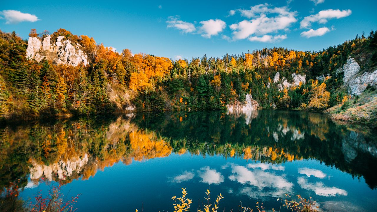 Wallpaper autumn, lake, trees, water, reflection