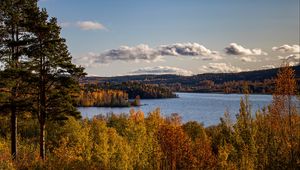 Preview wallpaper autumn, lake, trees, branches, forest