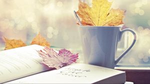 Preview wallpaper autumn, leaves, book, mood
