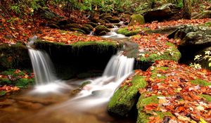 Preview wallpaper autumn, leaves, moss, stones, water, wood, river, source