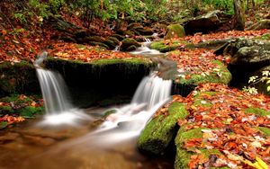 Preview wallpaper autumn, leaves, moss, stones, water, wood, river, source