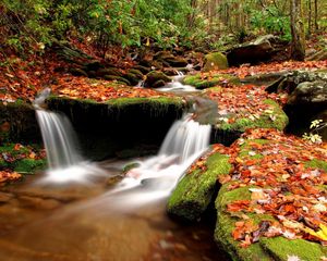 Preview wallpaper autumn, leaves, moss, stones, water, wood, river, source