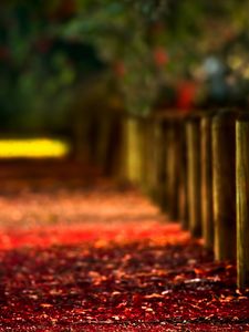 Preview wallpaper autumn, logs, stakes, protection