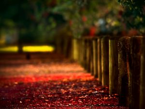 Preview wallpaper autumn, logs, stakes, protection