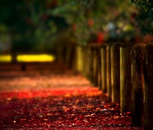 Preview wallpaper autumn, logs, stakes, protection