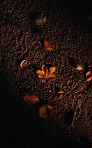 Preview wallpaper autumn, maple, leaves, asphalt