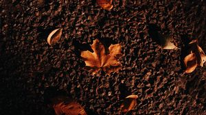 Preview wallpaper autumn, maple, leaves, asphalt