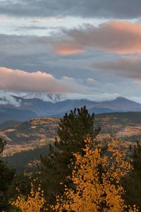 Preview wallpaper autumn, mountains, sky, clouds, trees, aspens, pines, evening