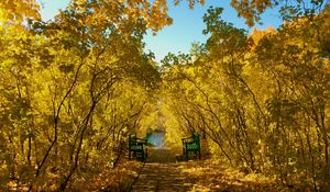 Preview wallpaper autumn, park, benches, foliage, landscape
