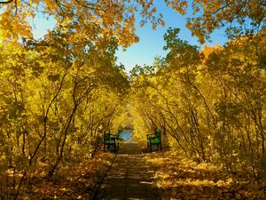 Preview wallpaper autumn, park, benches, foliage, landscape