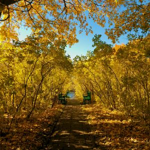 Preview wallpaper autumn, park, benches, foliage, landscape