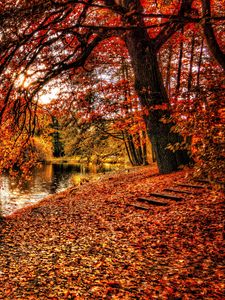 Preview wallpaper autumn, park, foliage, lake