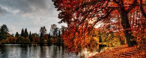 Preview wallpaper autumn, park, foliage, lake