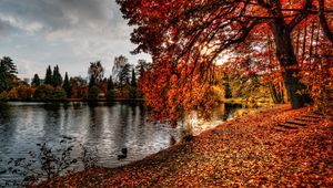 Preview wallpaper autumn, park, foliage, lake