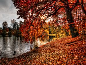 Preview wallpaper autumn, park, foliage, lake