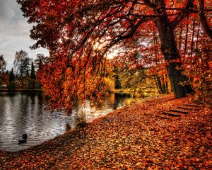 Preview wallpaper autumn, park, foliage, lake