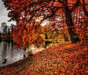 Preview wallpaper autumn, park, foliage, lake