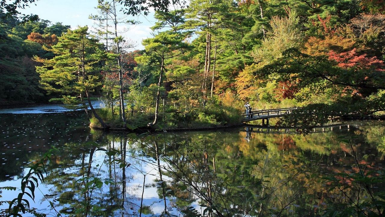Wallpaper autumn, park, lake, river