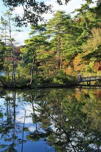 Preview wallpaper autumn, park, lake, river