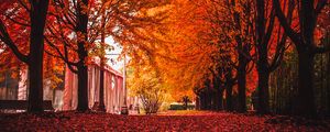 Preview wallpaper autumn, park, trees, foliage