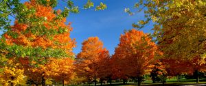 Preview wallpaper autumn, park, trees, leaves, bench, picnic