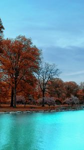 Preview wallpaper autumn, park, trees, blue water