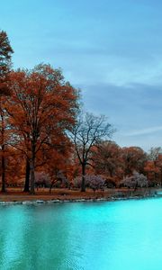 Preview wallpaper autumn, park, trees, blue water