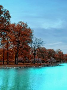 Preview wallpaper autumn, park, trees, blue water