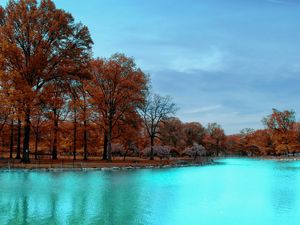 Preview wallpaper autumn, park, trees, blue water