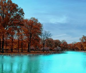 Preview wallpaper autumn, park, trees, blue water