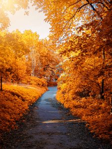 Preview wallpaper autumn, path, park, foliage