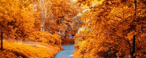 Preview wallpaper autumn, path, park, foliage