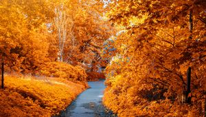 Preview wallpaper autumn, path, park, foliage