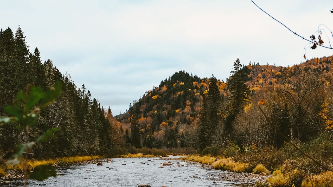 Wallpaper autumn, river, hills, forest