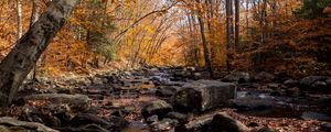 Preview wallpaper autumn, river, stream, stones