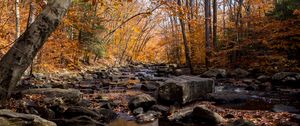 Preview wallpaper autumn, river, stream, stones