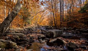 Preview wallpaper autumn, river, stream, stones