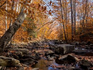 Preview wallpaper autumn, river, stream, stones