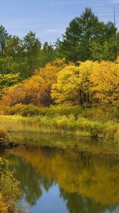 Preview wallpaper autumn, river, trees, bushes, reflection